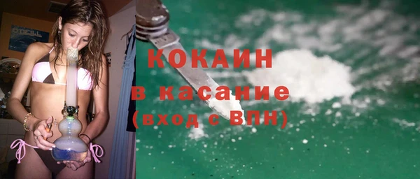 твердый Алексин
