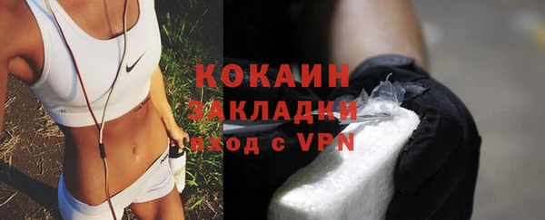 твердый Алексин