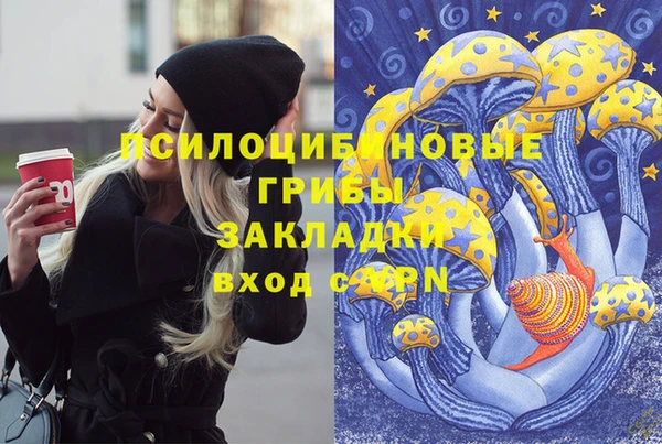 гашик Алзамай