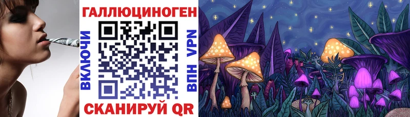 Псилоцибиновые грибы Cubensis  KRAKEN tor  Знаменск 