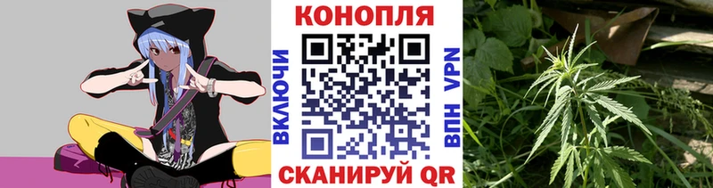 Бошки Шишки семена  omg ONION  Знаменск 